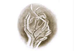 Blatt-07.jpg
